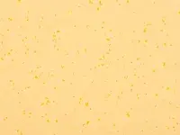 Mipolam Planet 5432 Sun Stone