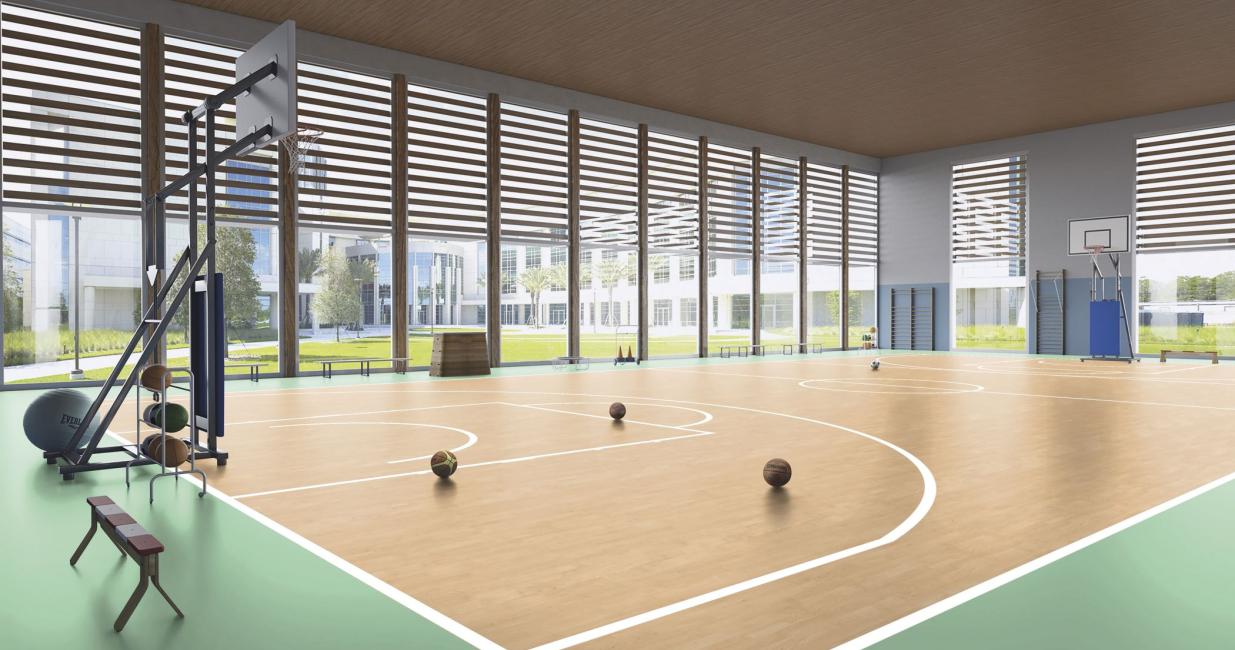 taraflex_design_2024